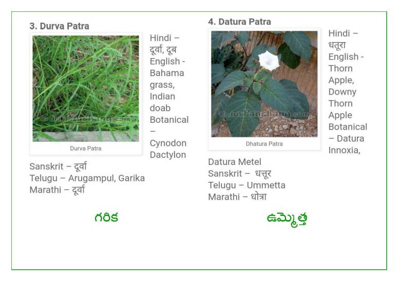 Vinayaka Patri 21 Leaves_Page_03