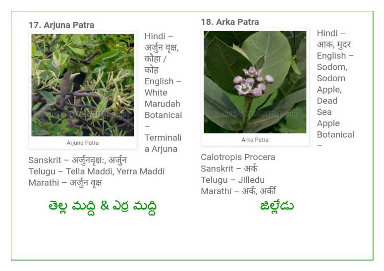 Vinayaka Patri 21 Leaves_Page_10